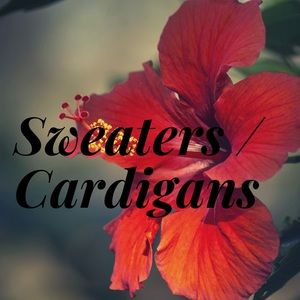 Sweaters and Cardigans